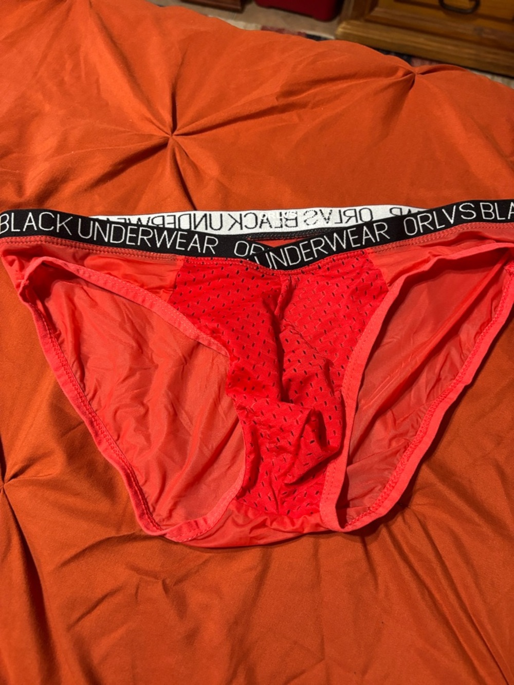 ORLVS Black Underwear Red Mesh Bikini Briefs
